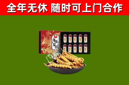 东城回收冬虫夏草价格