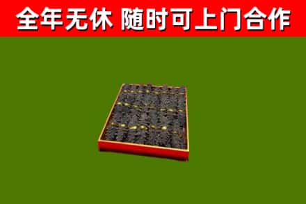 东城回收海参